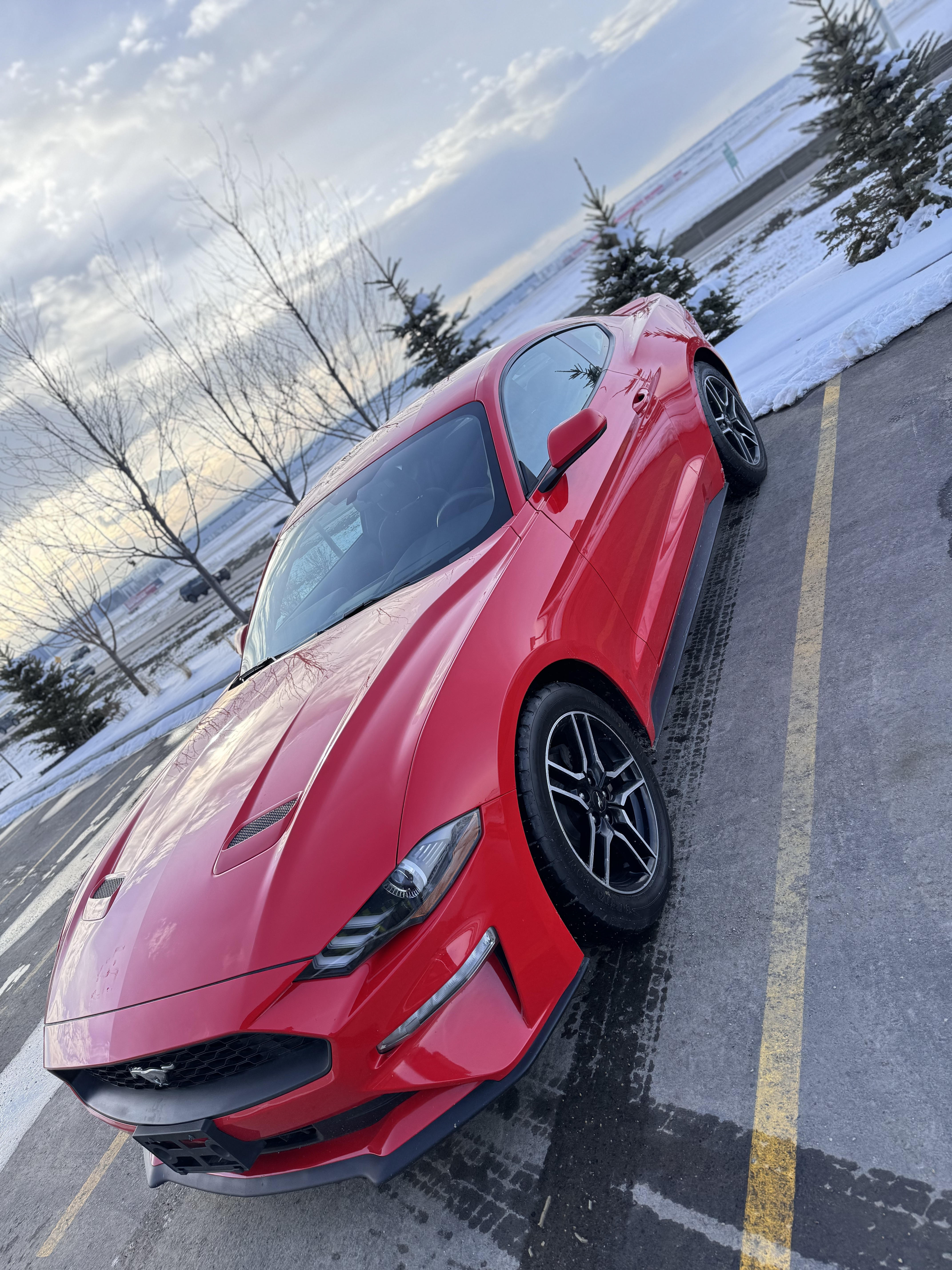 Ford Mustang 2019 in Rapid Red, front view
